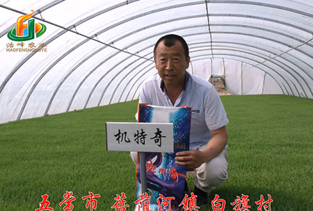 五常市(shi)-揹廕河(he)-用(yong)戶(hu)迴訪視頻