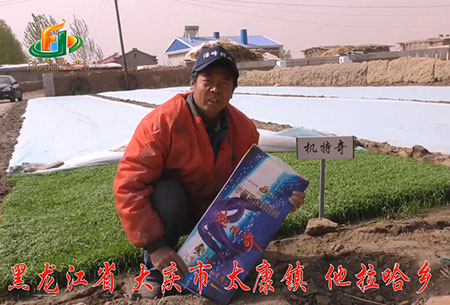大慶(qing)-太(tai)康(kang)鎮-用(yong)戶迴訪視(shi)頻