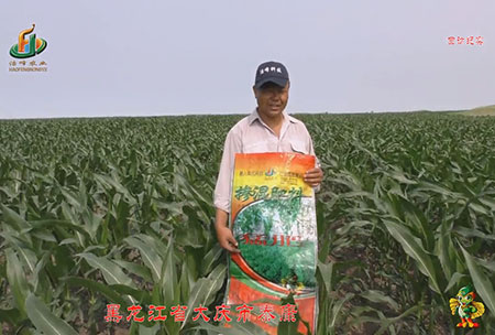 大慶(qing)泰(tai)康(kang)腰新(xin)