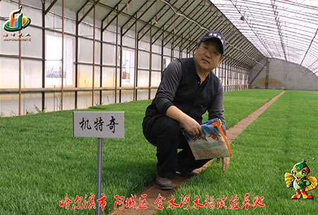 哈(ha)爾(er)濱金水(shui)河(he)基地(di)-用(yong)戶(hu)迴(hui)訪視頻