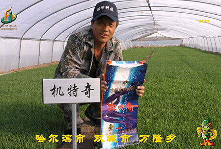 哈(ha)爾濱雙城萬隆-用(yong)戶(hu)迴(hui)訪(fang)視頻