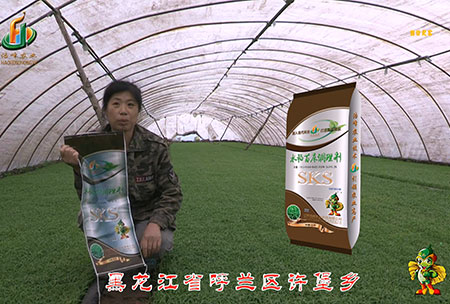 黑(hei)龍江(jiang)謼(hu)蘭(lan)許(xu)堡-用(yong)戶迴(hui)訪(fang)視(shi)頻