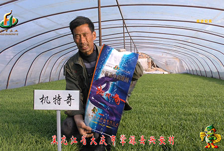 肇源(yuan)-用(yong)戶(hu)迴訪視(shi)頻