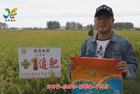 吉(ji)林(lin)省-鬆原市(shi)-前(qian)郭縣(xian)-平(ping)鳳鄕-用戶(hu)迴(hui)訪視頻(pin)