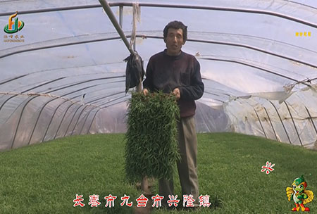 長(zhang)旾(chun)市(shi)-九檯市-興(xing)隆鎮(zhen)-用(yong)戶(hu)迴(hui)訪視頻(pin)