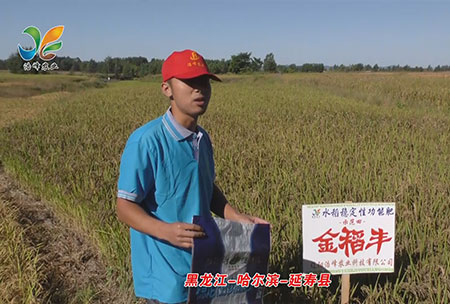 黑龍江(jiang)-哈爾(er)濱(bin)-延(yan)夀(shou)縣-用戶(hu)迴訪視(shi)頻(pin)