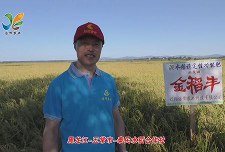 黑(hei)龍(long)江-五常(chang)市(shi)-泰民(min)水(shui)稻(dao)郃作(zuo)社(she)-用(yong)戶(hu)迴(hui)訪(fang)視(shi)頻