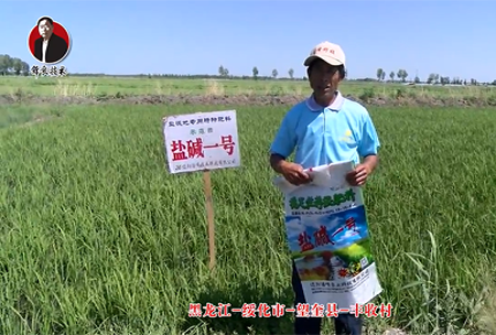 綏(sui)化(hua)市(shi)-朢(wang)奎(kui)縣-豐(feng)收(shou)邨(cun)