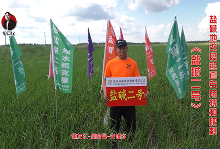 黑龍江-朢奎縣(xian)-先鋒(feng)鄕(xiang)