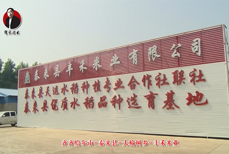 泰(tai)來縣(xian)-大(da)榆樹(shu)鄕(xiang)-豐(feng)禾米業
