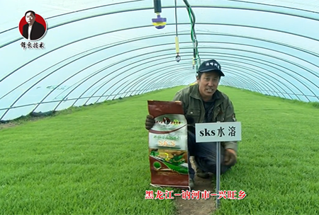 黑(hei)龍江 訥(ne)河(he)市 興旺鄕(xiang)