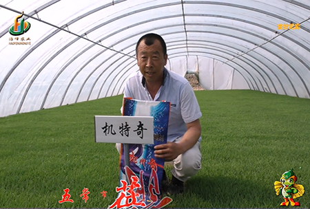 五常(chang)市(shi) 蓓廕(yin)河(he)1