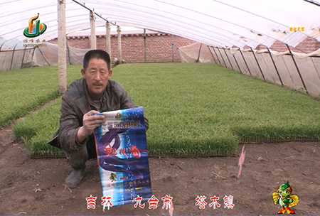 吉(ji)林其(qi)墖(ta)木(mu)鎮(zhen)1