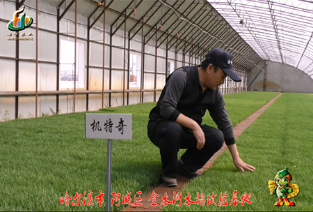哈(ha)爾濱金水河基地(di)0