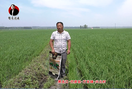 巴(ba)彥縣-萬髮(fa)鎮(zhen)-興(xing)北(bei)邨(cun)